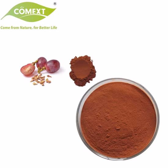 Grape Seed Extract 95% OPC (100% Natural) Plant Herbal Extract Powder Vitis Vinifera Food Additive Antioxidant Proanthocyanidins