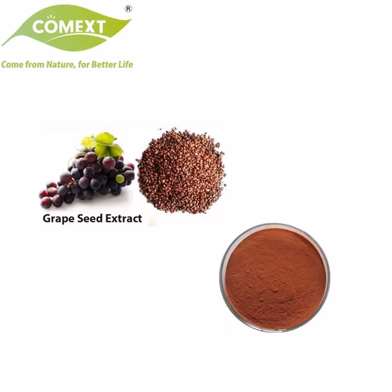 Grape Seed Extract 95% OPC (100% Natural) Plant Herbal Extract Powder Vitis Vinifera Food Additive Antioxidant Proanthocyanidins