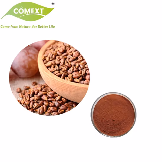 Grape Seed Extract 95% OPC (100% Natural) Plant Herbal Extract Powder Vitis Vinifera Food Additive Antioxidant Proanthocyanidins