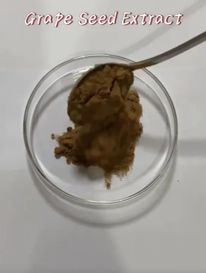 Grape Seed Extract 95% OPC (100% Natural) Plant Herbal Extract Powder Vitis Vinifera Food Additive Antioxidant Proanthocyanidins