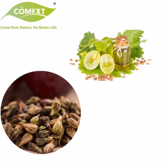 Grape Seed Extract 95% OPC (100% Natural) Plant Herbal Extract Powder Vitis Vinifera Food Additive Antioxidant Proanthocyanidins