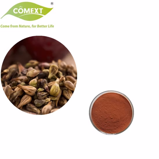 Extracto de semilla de uva 95% OPC (100% Natural) Extracto de hierbas vegetales en polvo Vitis Vinifera aditivo alimentario antioxidante proantocianidinas