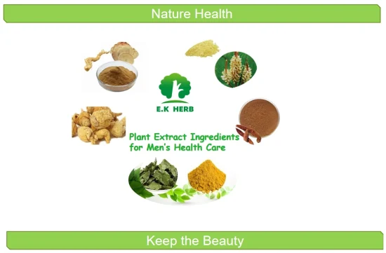 Extracto de planta del fabricante de hierbas E. K Tongkat Ali Longjack el 1%